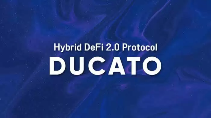 ducato币初始发行价和发行量是多少？