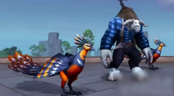 魔兽世界焰羽孔雀怎么获得 11.1焰羽孔雀获取方法