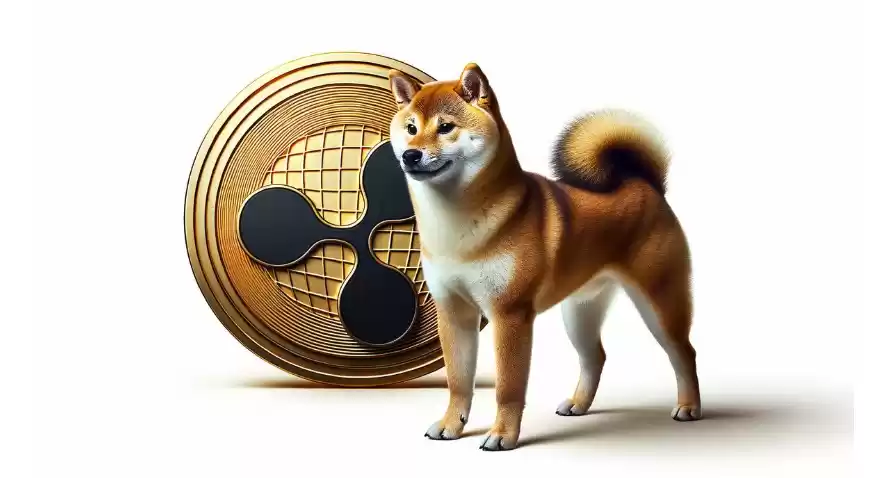 币圈十大交易app虚拟币平台2025权威排行榜