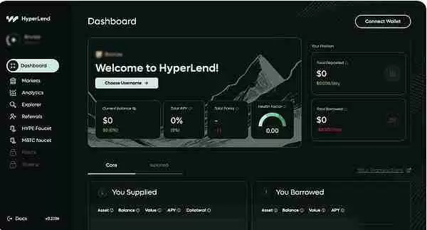 HyperEVM生态热门项目分析:未来前景如何?