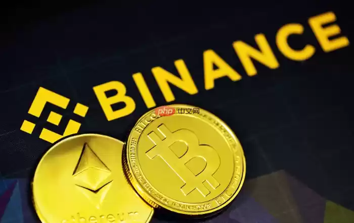 1737343065109157.webp image.webp