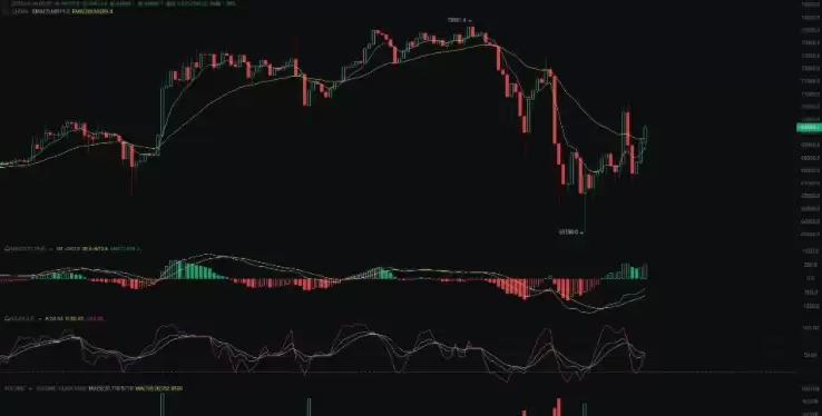 一文了解：主流币和山寨币的区别