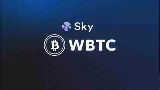 MakerDAO(现为SKY)宣布抛弃ＷBTC！WBTC供应量单月流出9600万美元