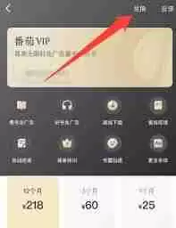 番茄VIP兑换码在哪里输入-如何正确输入番茄VIP兑换码