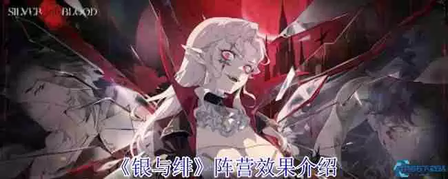 银与绯四大阵营效果解析 最强阵容搭配指南