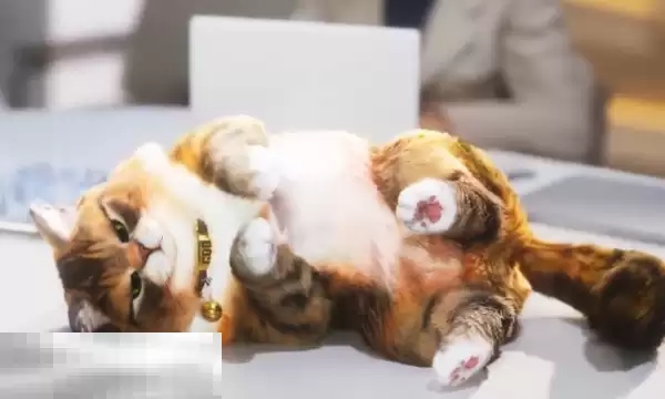 inzoi最低配置要求 电脑配置需求一览