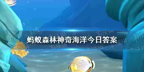 世上最咸的海是哪个海 神奇海洋3月31日答案最新