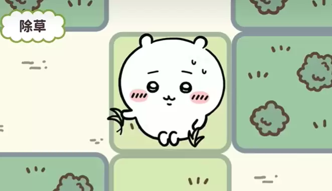 口袋吉伊卡哇乌萨奇终极指南 从采集大师到战斗领袖全解析