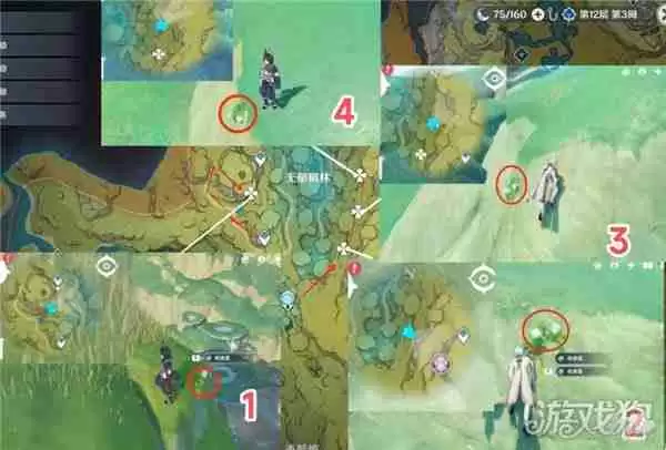 原神劫波莲最佳采集路线一览