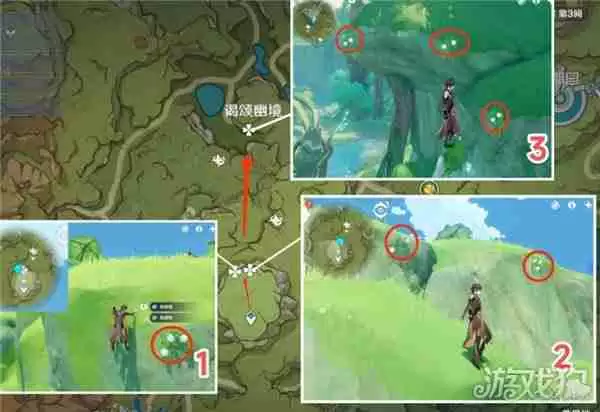 原神劫波莲最佳采集路线一览