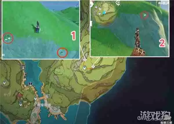 原神劫波莲最佳采集路线一览