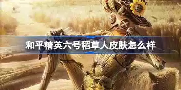 和平精英六号稻草人怎么样-和平精英六号稻草人皮肤价格