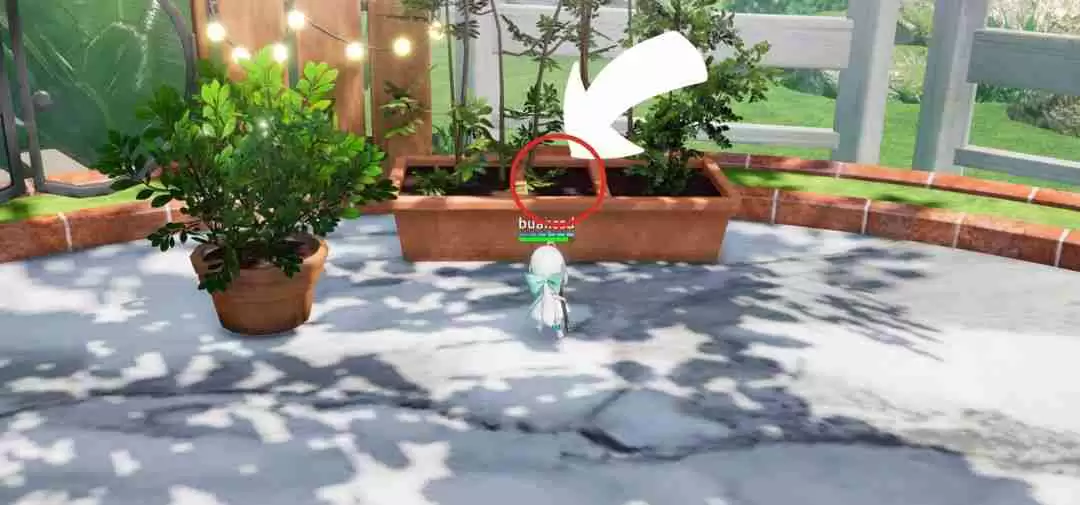 开放空间瓶中小径全收集攻略