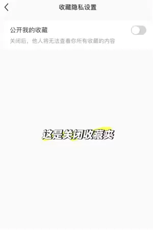 小红书收藏别人的笔记别人知道吗 小红书收藏怎么设置仅自己可见