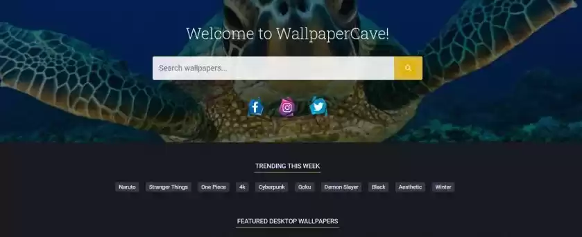 wallpaper网站入口 wall.paper免费网站入口