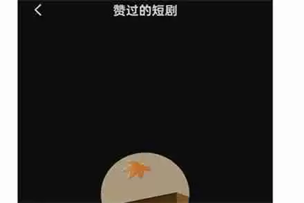 红果短剧小说收藏怎么找不到了 红果短剧小说收藏找不到解决方法