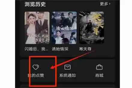 红果短剧小说收藏怎么找不到了 红果短剧小说收藏找不到解决方法