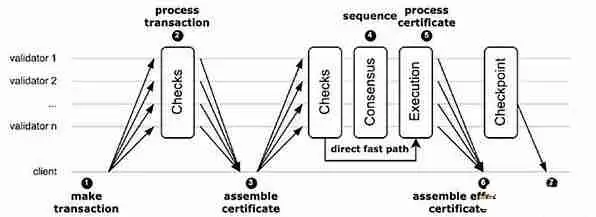深入解析：Sui、Aptos和Movement三大Move公链的真正区别