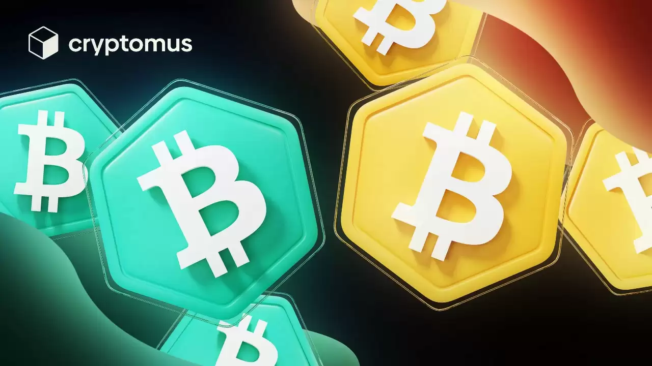 比特币与比特币现金：有什么区别