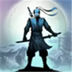 暗影格斗忍者武士
