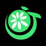 手机桌宠软件 给你手机界面优化的软件推荐2022