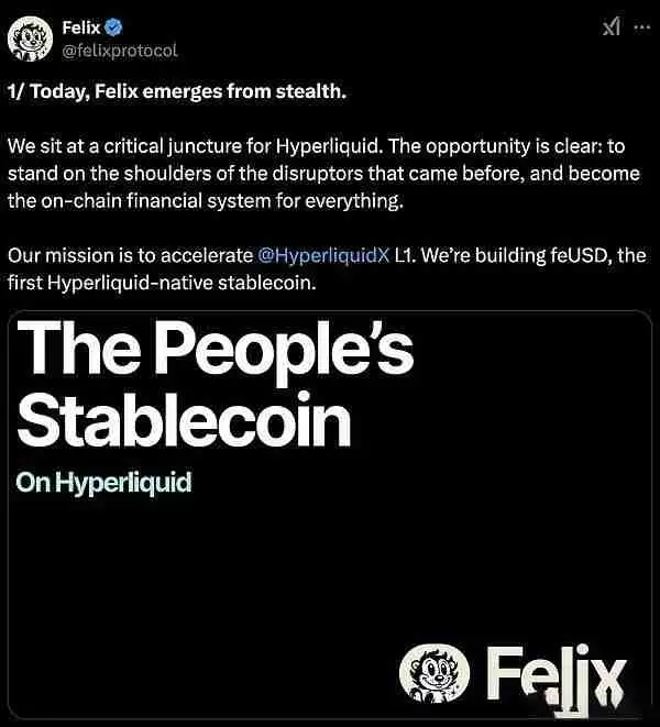 HyperEVM生态热门项目分析:未来前景如何？