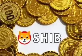 模因币龙头币有哪些 模因币怎么购买