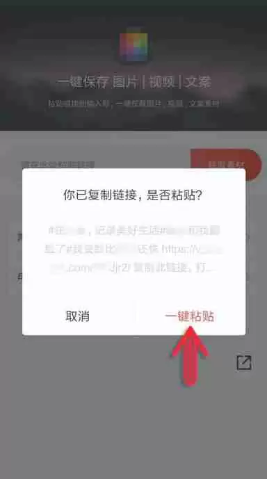 抖音短视频拍出的视频如何去水印