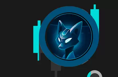 SEN币币种介绍_一文介绍SEN币