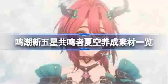 鸣潮新五星共鸣者夏空养成素材一览-鸣潮新五星共鸣者夏空养成素材有哪些