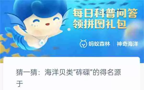 支付宝神奇海洋海洋贝类砗磲的名字源于什么
