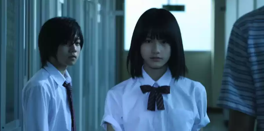 海量大片在线 国外大片海量在线观看网站入口