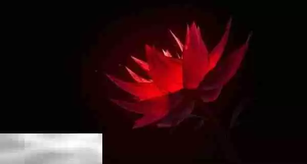 鸣潮2.2版本椿技能怎么升级 加点顺序推荐