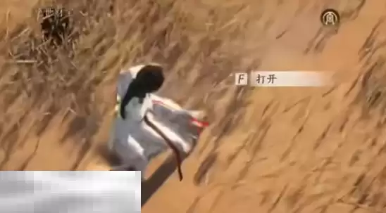 燕云十六声神秘的借条怎么做 神秘的借条奇遇攻略