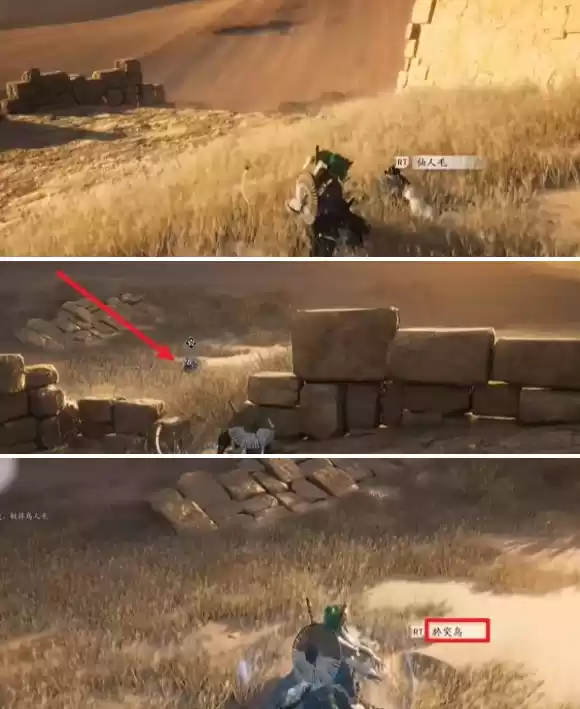 燕云十六声猫瘾患者奇遇怎么做 猫瘾患者奇遇攻略