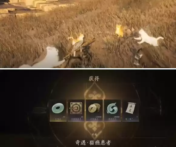 燕云十六声猫瘾患者奇遇怎么做 猫瘾患者奇遇攻略