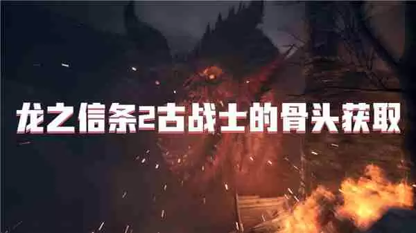 龙之信条2古战士的骨头获取