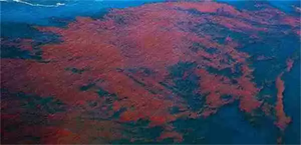 支付宝海洋灾害赤潮一般是有什么原因引起的