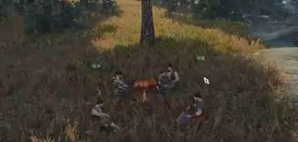 逆水寒手游猪猪迷踪奇遇怎么过 猪猪迷踪奇遇攻略