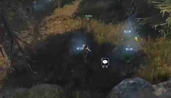 逆水寒手游猪猪迷踪奇遇怎么过 猪猪迷踪奇遇攻略