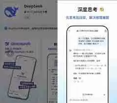 deepseek联网搜索是什么-deepseek联网搜索的含义