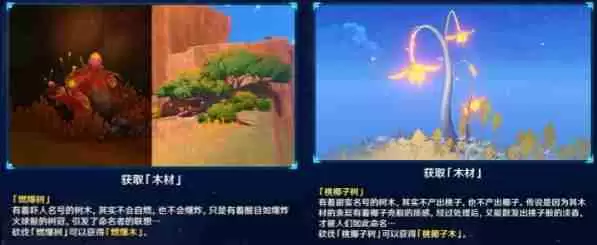 原神尘歌壶纳塔有几种木材