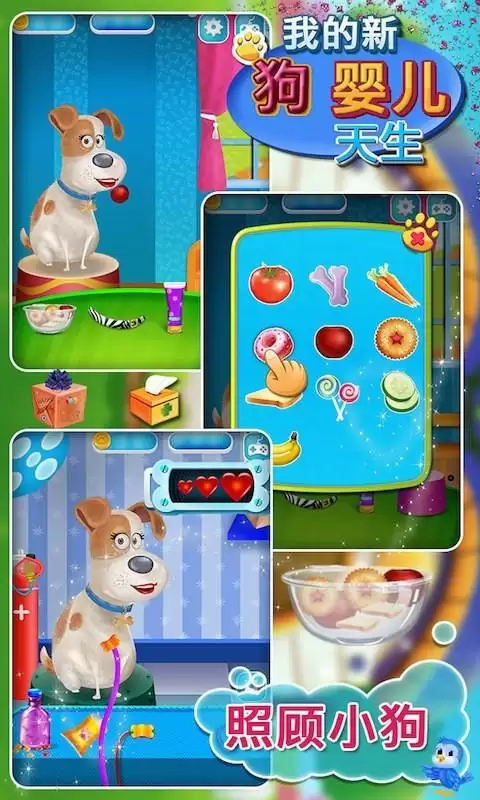 小狗宝宝出生啦 