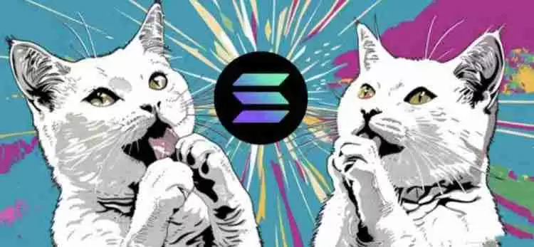 POPCAT是什么币种？POPCAT币怎么样？