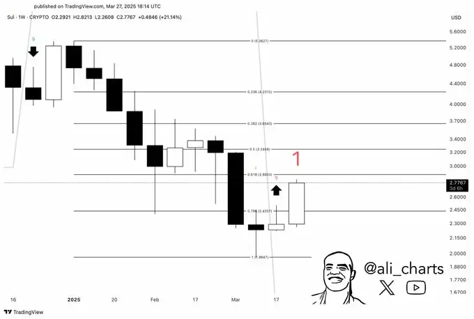 Ali Martinez对Sui的分析