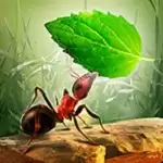 小小蚁群