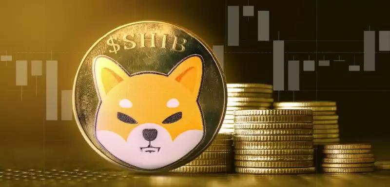 SHIB销毁率持续上涨 柴犬币价格将迎来暴涨