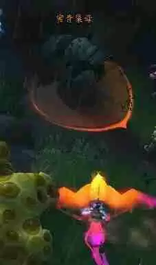 魔兽世界蜜背收割者坐骑全攻略：手把手教你驯服蜂群霸主