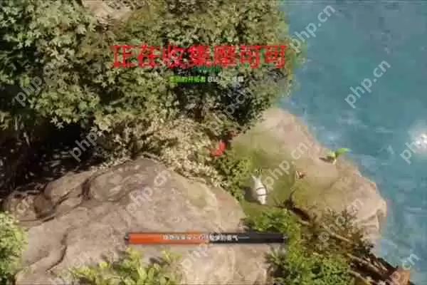 命运方舟鲸鱼岛摩可可种子在哪-命运方舟鲸鱼岛摩可可种子位置一览