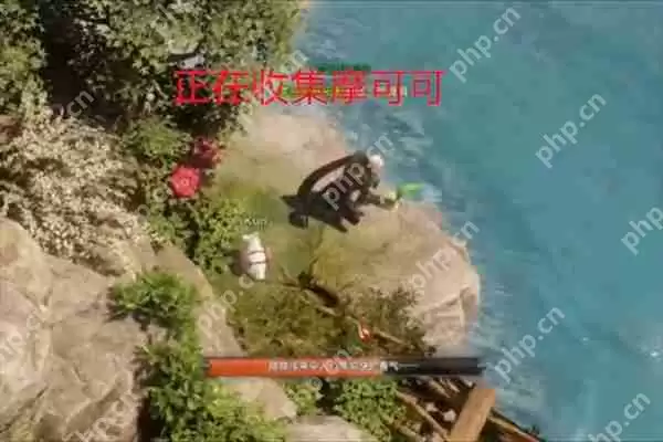 命运方舟鲸鱼岛摩可可种子在哪-命运方舟鲸鱼岛摩可可种子位置一览